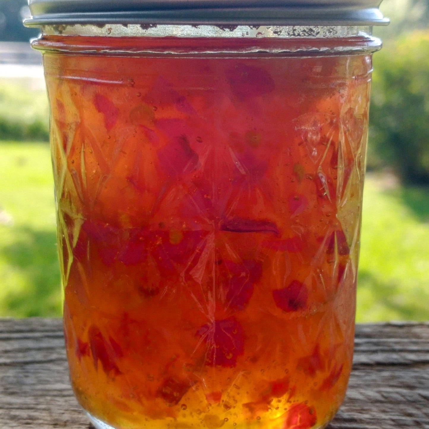 Kitchen Shenanigans - Jelly